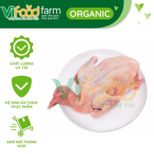 Bồ Câu Ra Ràng 400gr/con