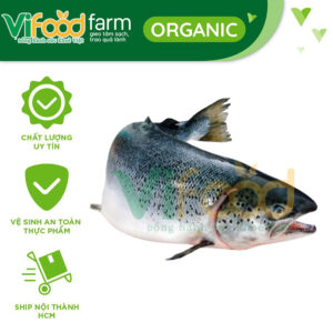 Cá hồi tươi 5-6 kg/con
