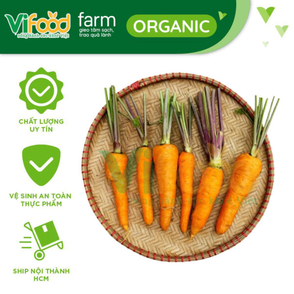 Cà rốt cọng tím