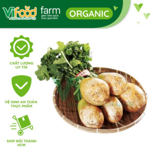 Củ cải Hàn Quốc