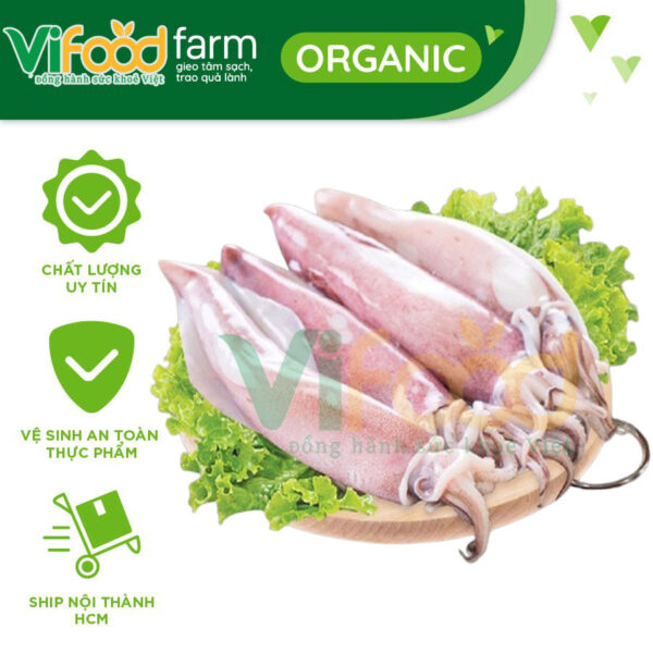 Mực Ống Đông Lạnh