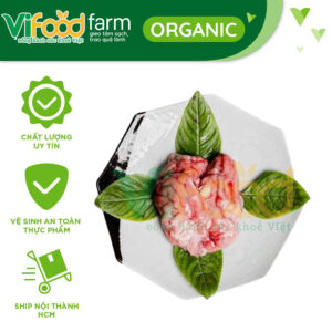 Óc dê tươi
