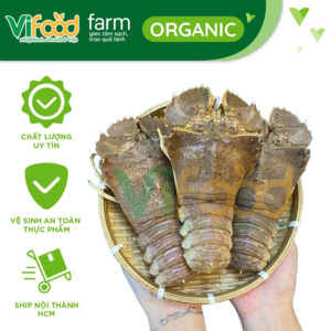 Tôm mũ ni trắng 4-6 con/kg