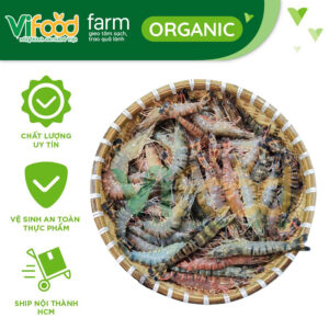 Tôm sú sống 15-20 con/kg