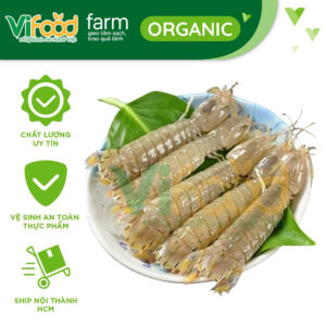 Tôm tít Sống 6-8 con/kg