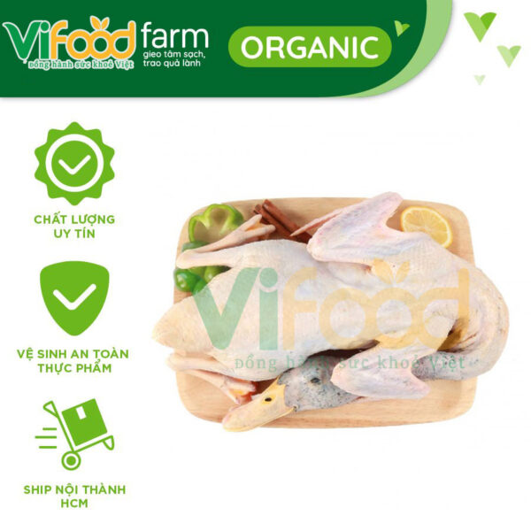 Vịt Cỏ Làm Sạch