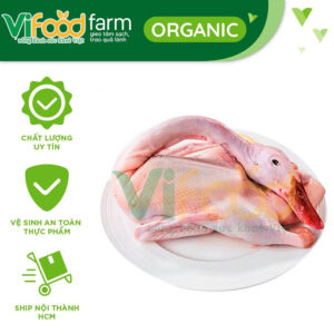 Vịt Thịt Tươi
