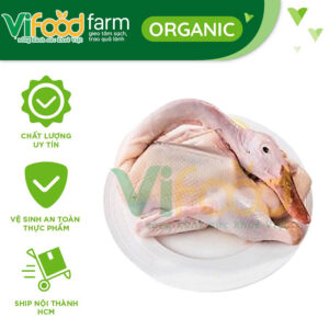 Vịt Xiêm Tươi Sống