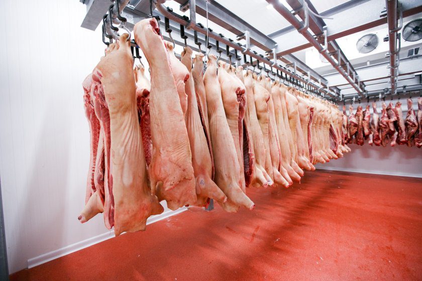 Kho đông lạnh hiện đại của VIFOOD