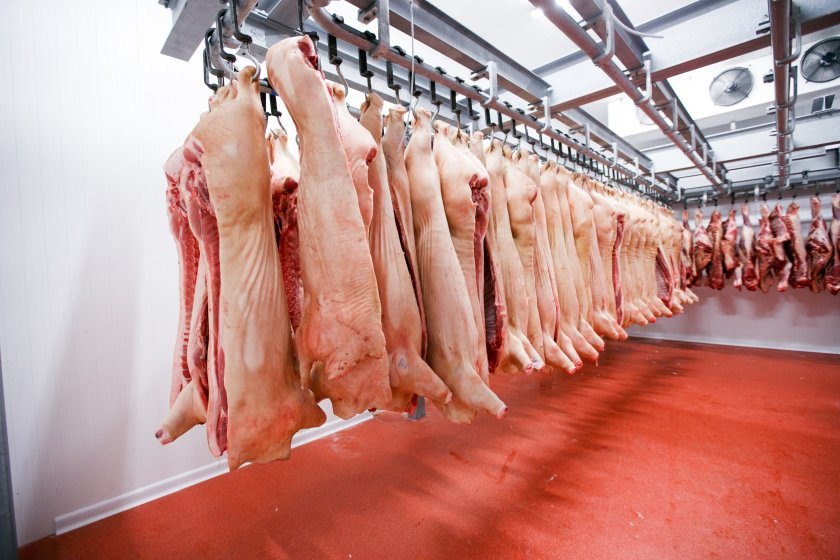 Hệ thống kho lạnh hiện đại bảo quản thịt heo